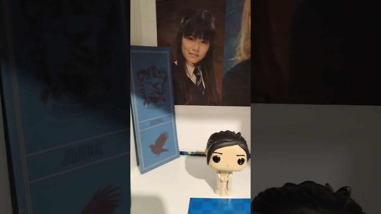 Harry Potter ma chambre gitan de Perpignan ça y est tu peux l'avoir plu de harcèlement😂