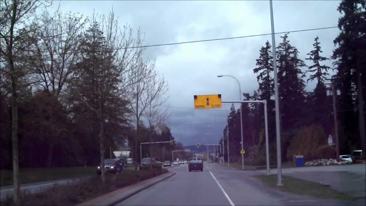 Search the World ( OFFICIAL MUSIC VIDEO ) - Josh Sigurdson