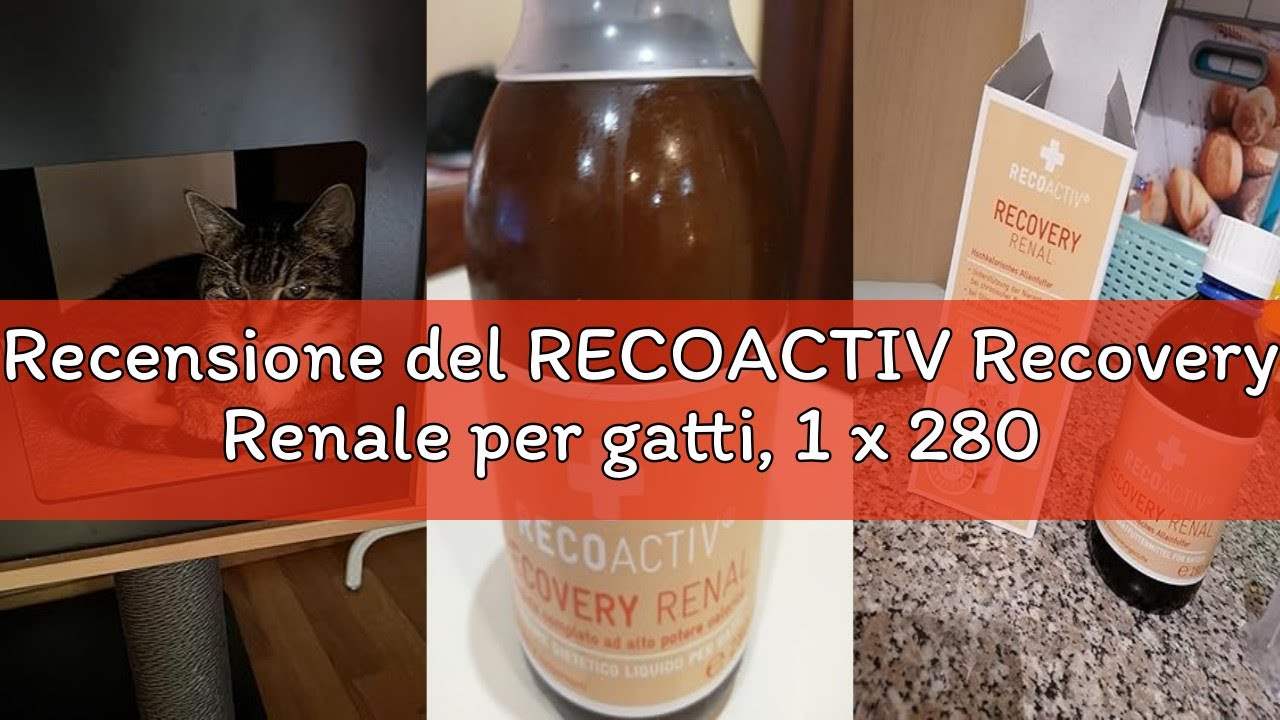 Recensione del RECOACTIV Recovery Renale per gatti, 1 x 280 ml, mangime completo ad alto potere calo