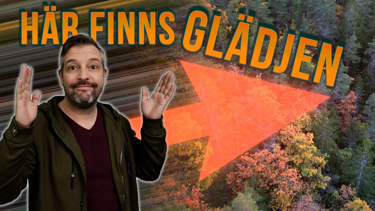 Hitta gl&auml;dje i din fotografering . Fotovlog fr&aring;n skogarna i M&ouml;lnlycke
