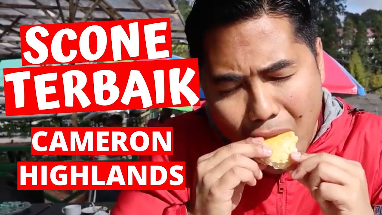 SCONE PALING TERBAIK DI CAMERON HIGHLANDS | KHM STRAWBERRIES & FARM | BroNan Cameron
