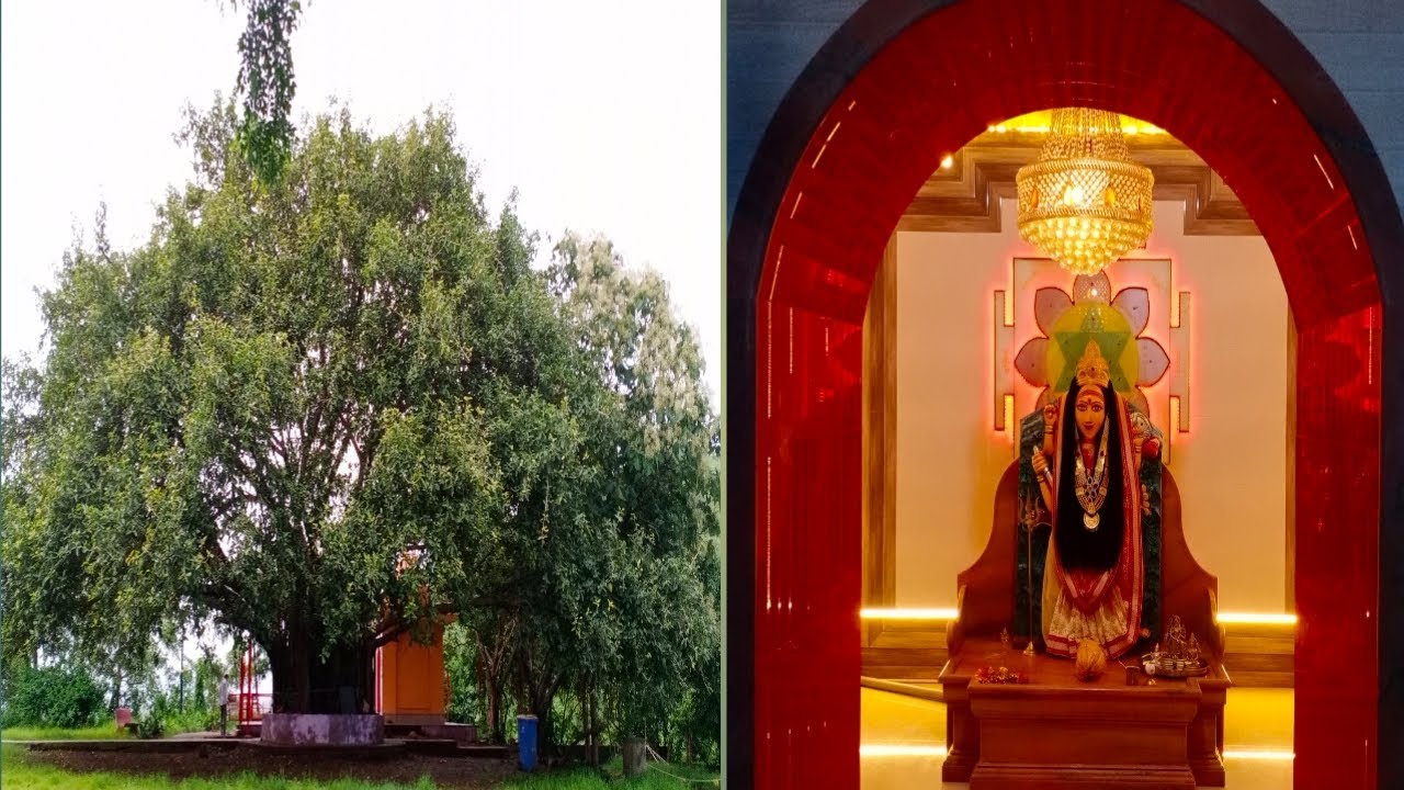 चला तर मग आता फिरायला जाऊ । विरारचा हिरवा निसर्ग । famous in Virar
