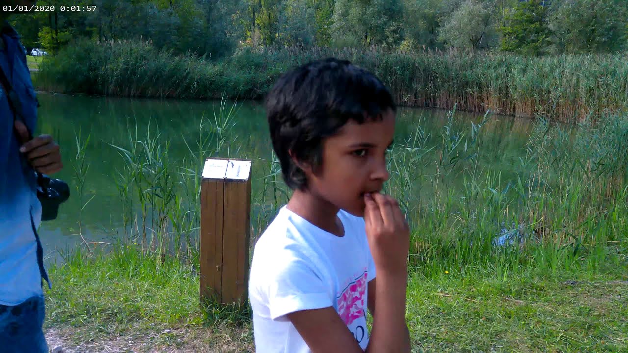 Fish in Lago di Cavazzo Friuli Venezia Giulia Italy