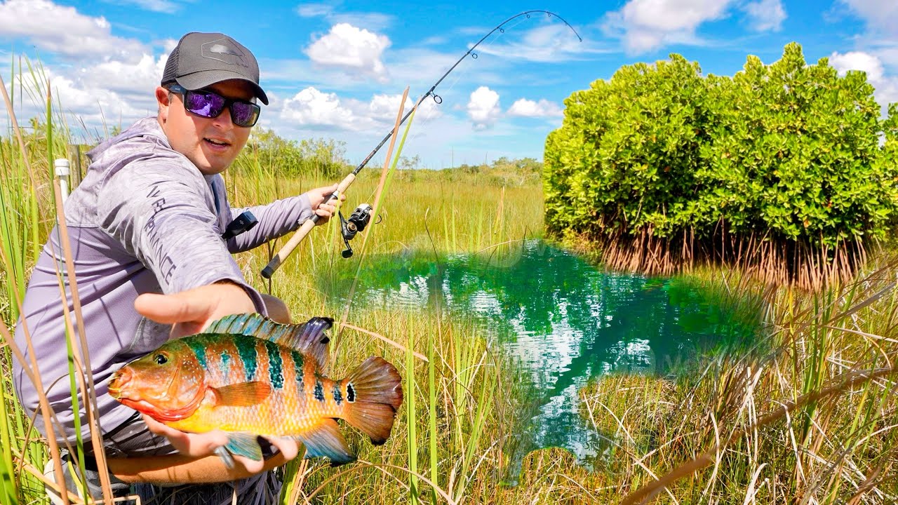 UNTOUCHED PONDS FLORIDA KEYS | SNOOK, PEACOCK BASS, CICHLIDS
