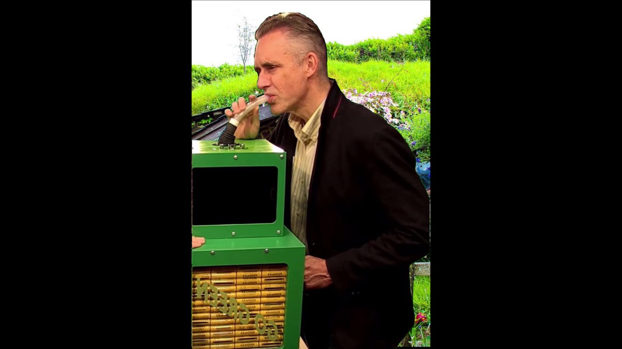 Hits Pipe - Jordan Peterson