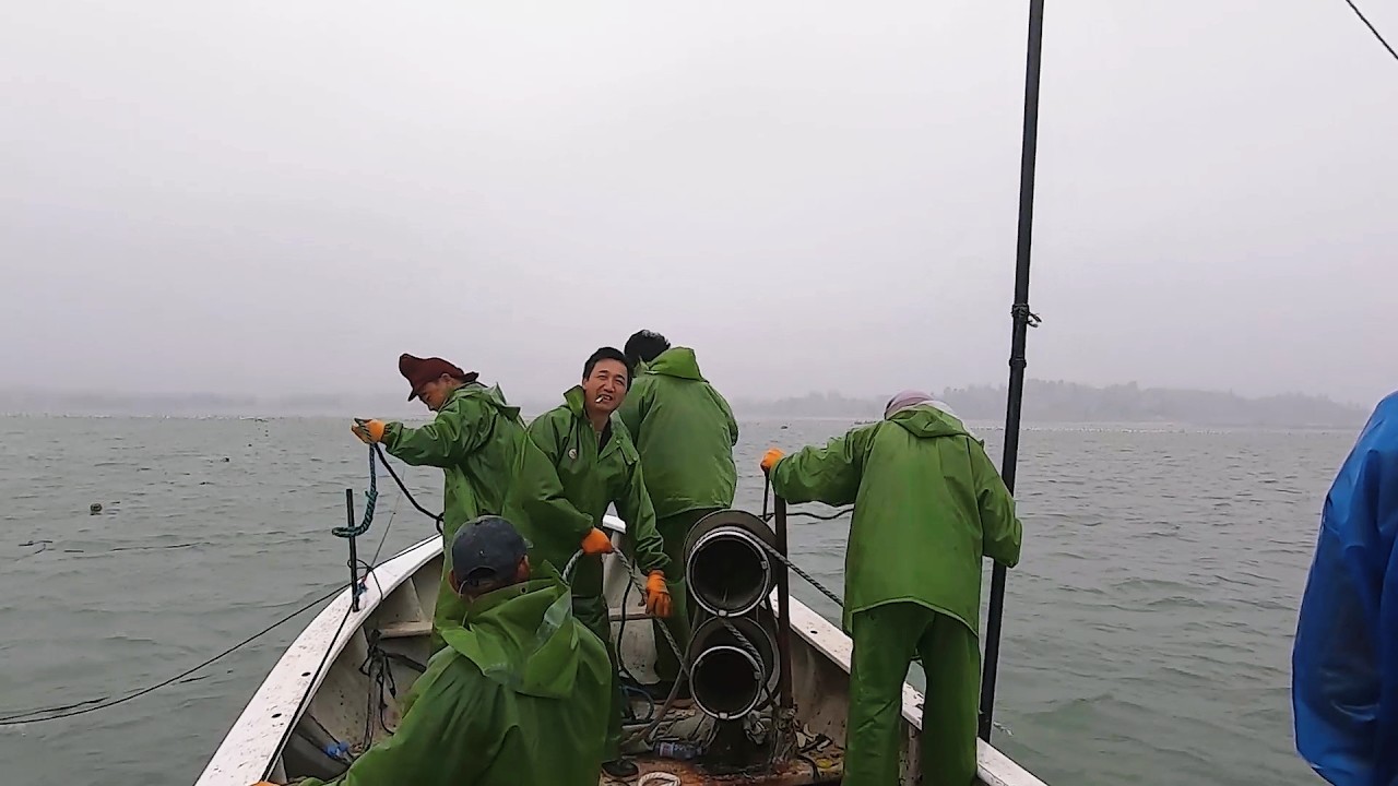 阿阳跟一船大老板出海，把几百根竹子打进海里，就能赚到几十万