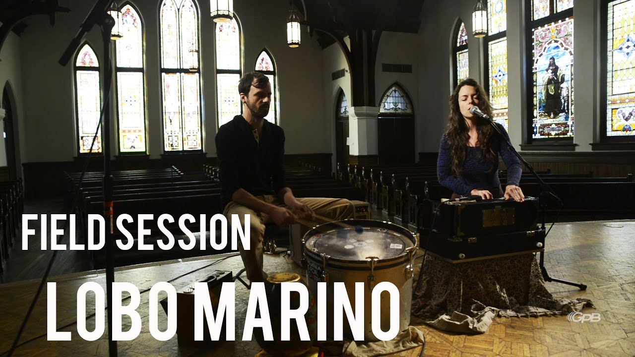 Field Session: Lobo Marino | GPB News
