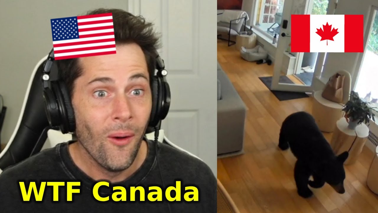 American Reacts to Canadian TikToks | #29