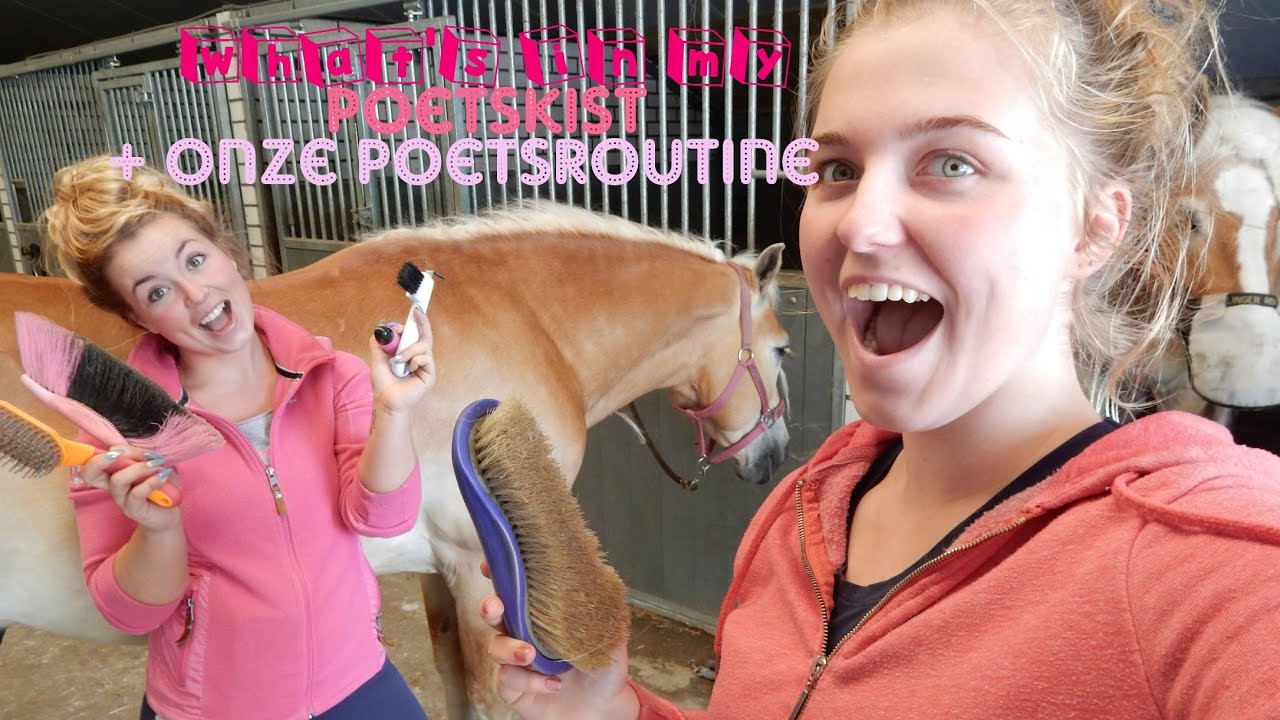 WHAT'S IN MY POETSKIST + POETSROUTINE | Haflingers King & Beau Vlog #41