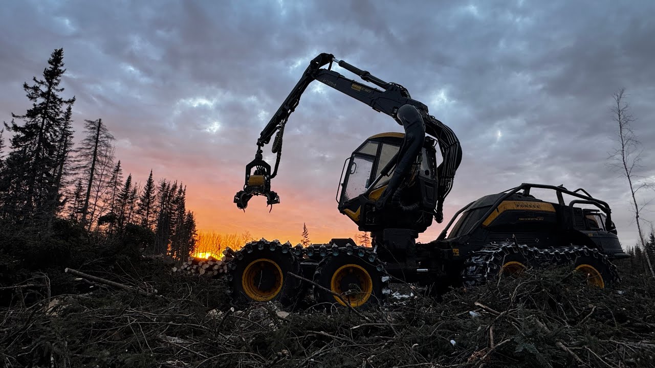 Swamp logging #cold #offroad #scorpion #minnesota #logging #ponsse @PonssePlc 