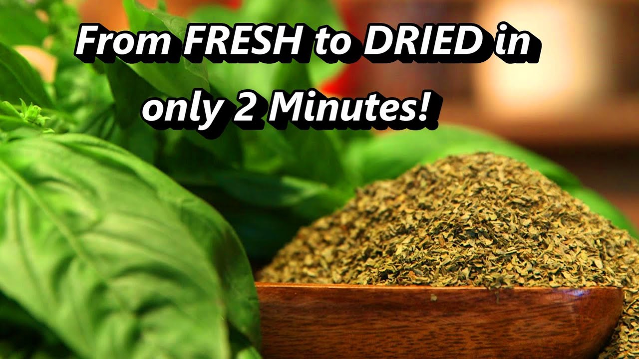 Dehydrating Basil Leaves in the Microwave | This Method Works for Drying any Herbs