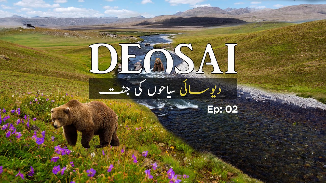 Deosai National Park & Sheosar Lake | Skardu Tour Ep: 2