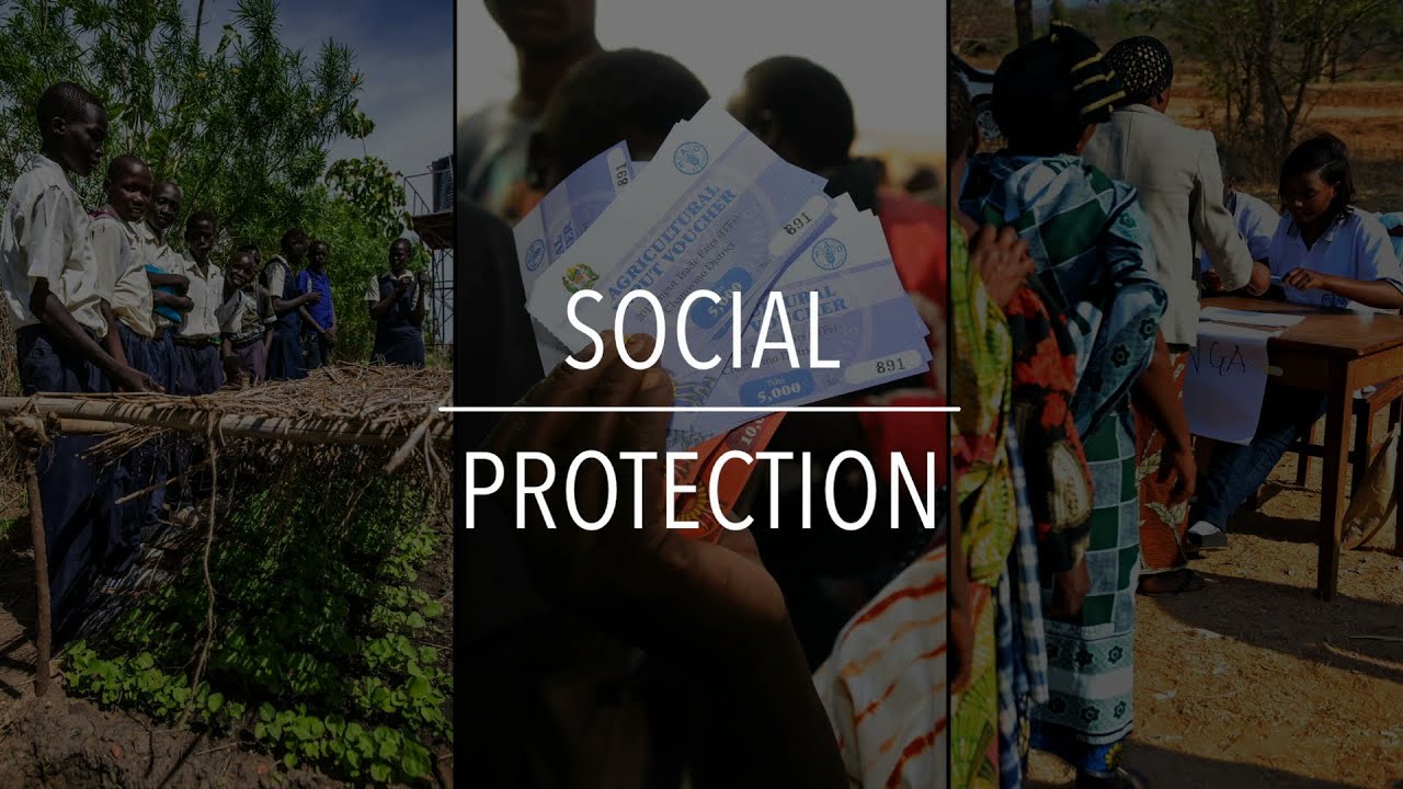 FAO Policy Series: Social Protection