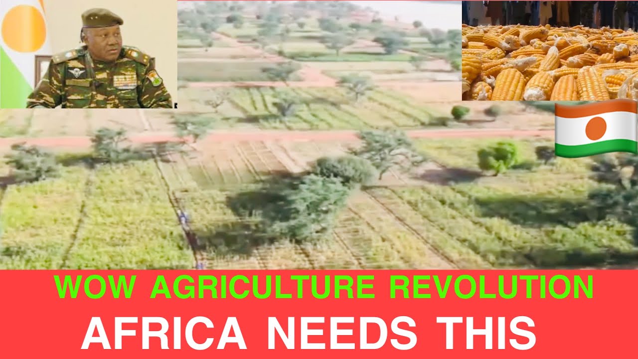 Niger : President General Abdourahmane Tiani Agriculture Revolution Will Surprise You