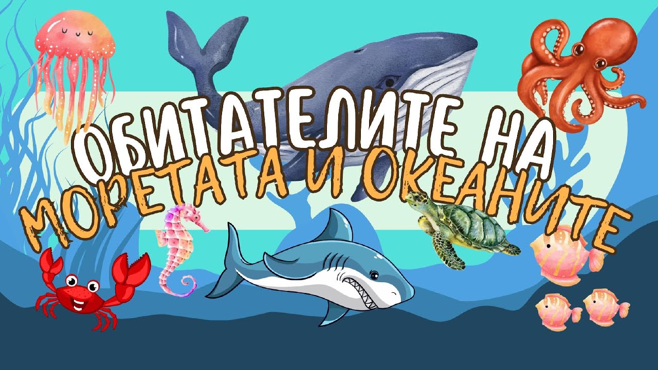 Морските обитатели | За най-малките | Нашата планета