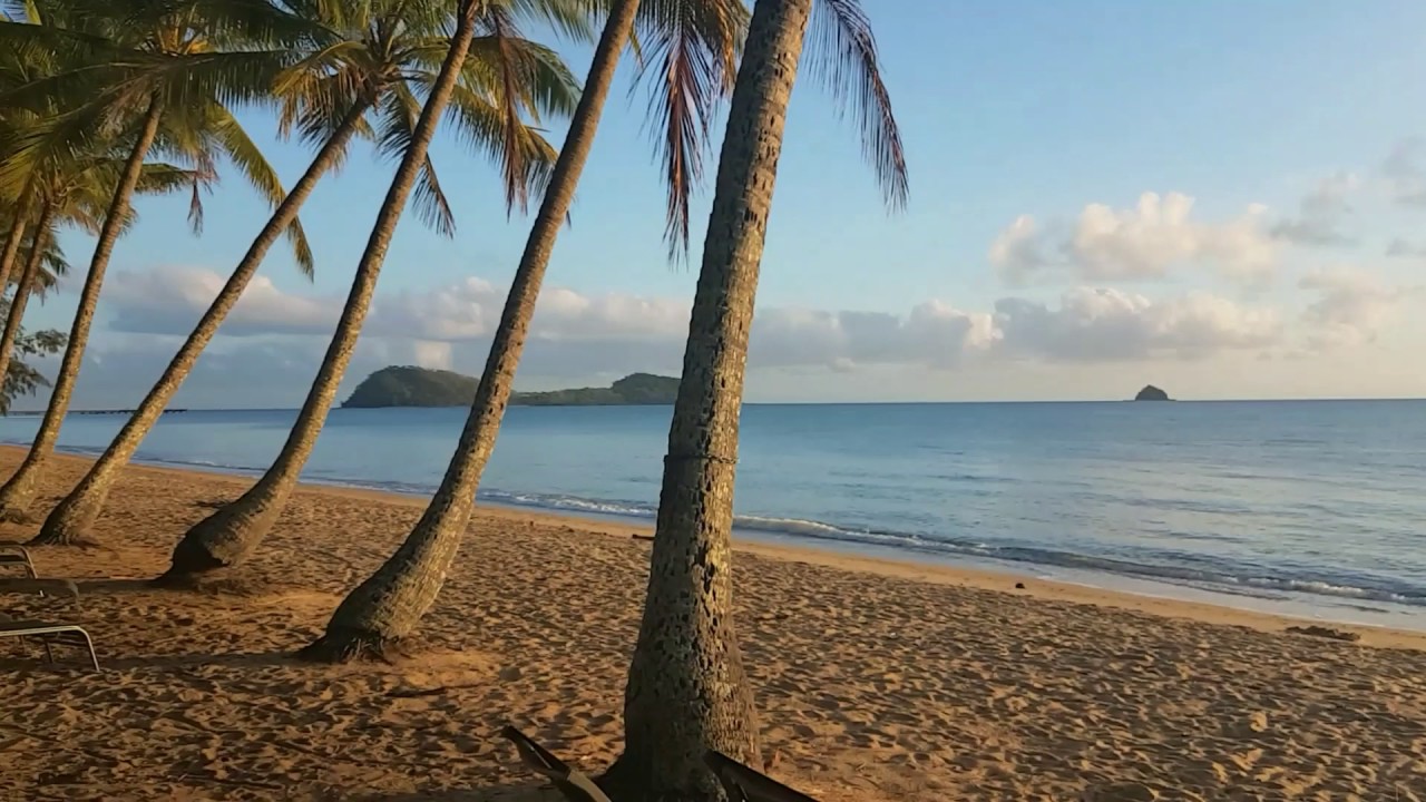 Evolve Bamboo GT Palm Cove Morning Ride