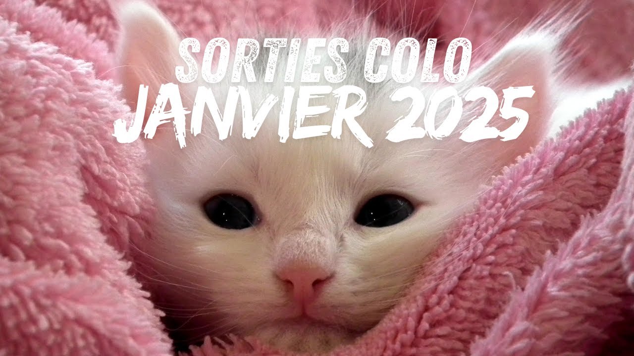 SORTIES LIVRES COLORIAGE janvier 2025: du disney, du mystère et des CHAAAAATS