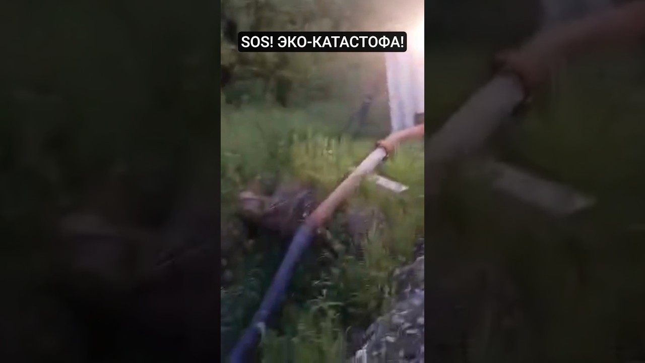 #УТЕЧКА #ЦИАНИДА #ЭКО_КАТАСТРОФА #ХАБАРОВСКИЙ КРАЙ ПОС. #МНОГОВЕРШИННЫЙ