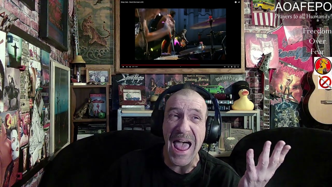 Stray Cats - Rock this town LIVE - Reaction for Watson!