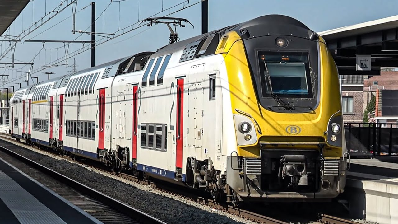 Train at Denderleeuw Station (4K) 04-04-25