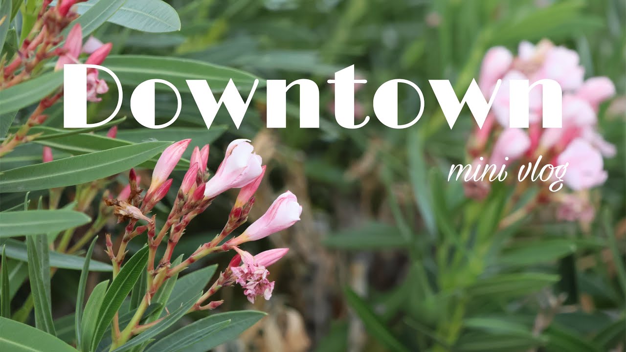 Quick Downtown Adventure! Mini vlog