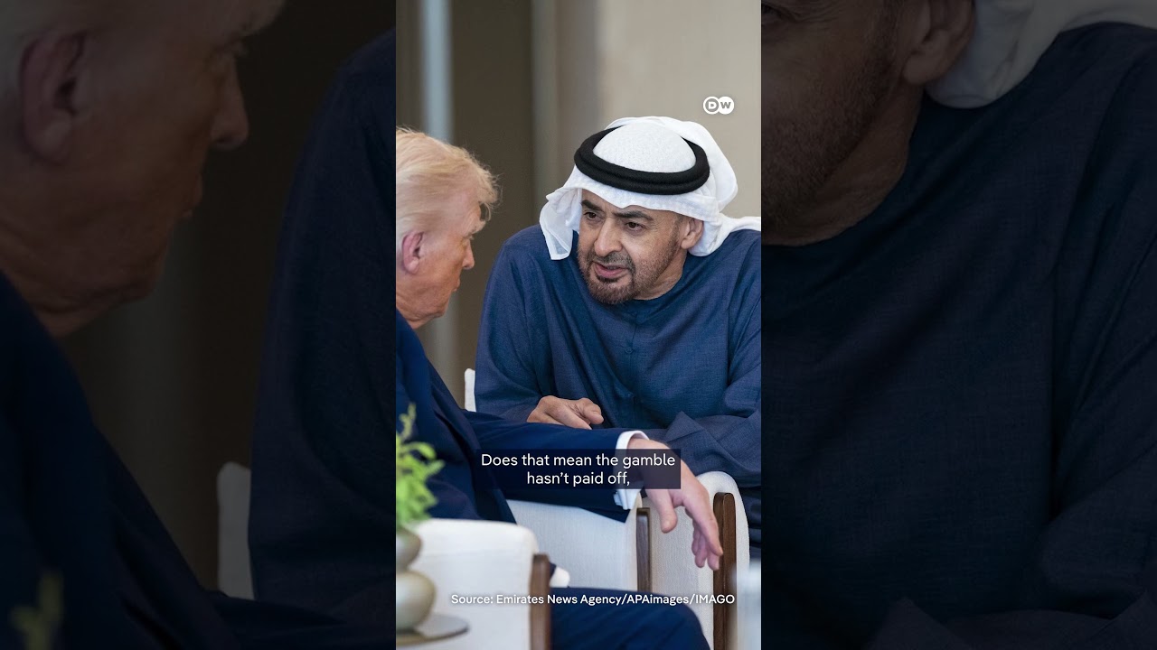 Did the UAE choose the wrong partners? The UAE's risky alliances | DW News