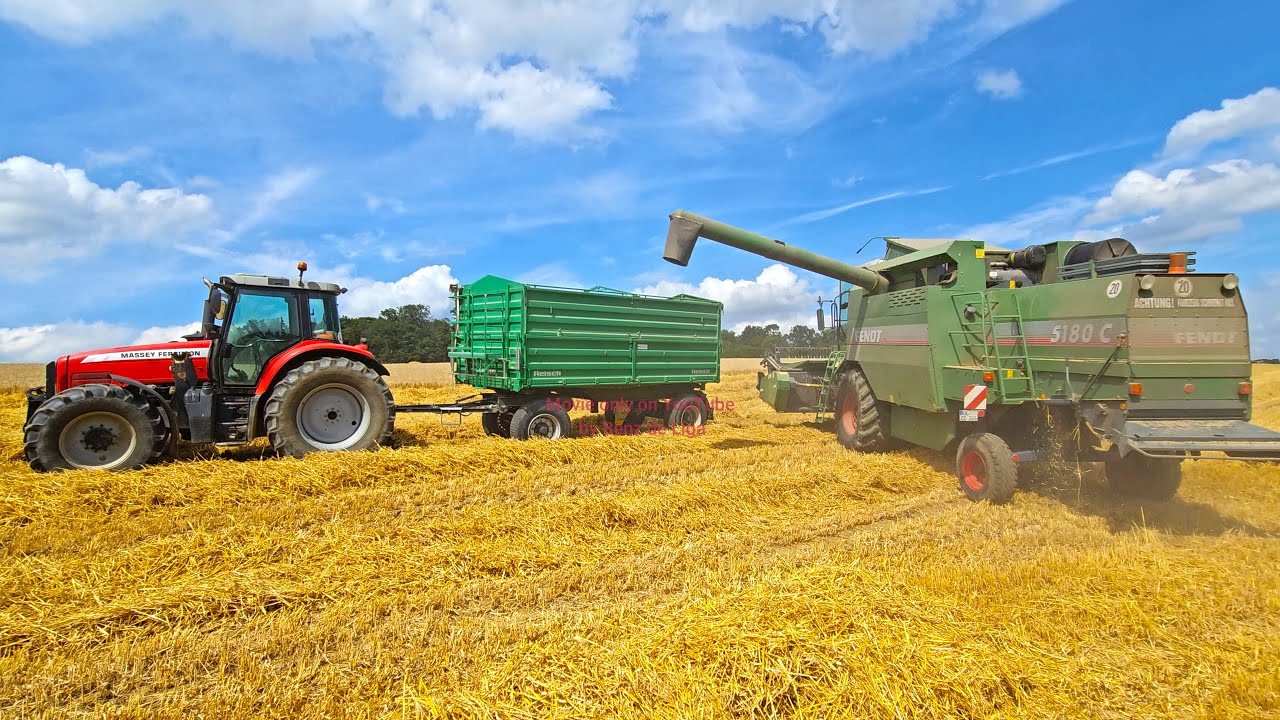 Fendt 5180 C Mähdrescher bei Getreideernte 2024 & Massey Ferguson 6480 mit Reisch Kipper auf der Alb