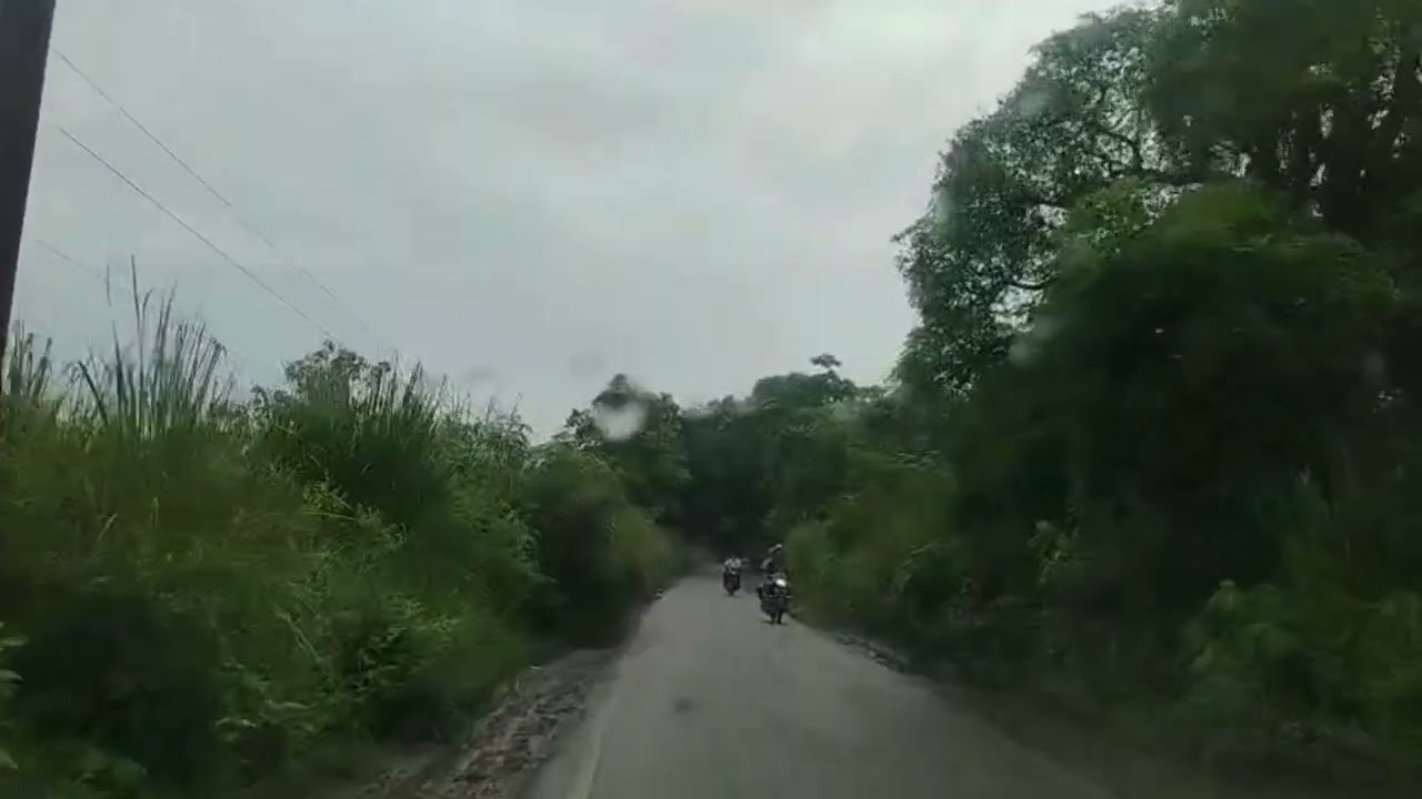 🚗 Dudhwa & Nepal Border Journey | Paliyakala to Gauri Fanta, Dhanwadi 🌿