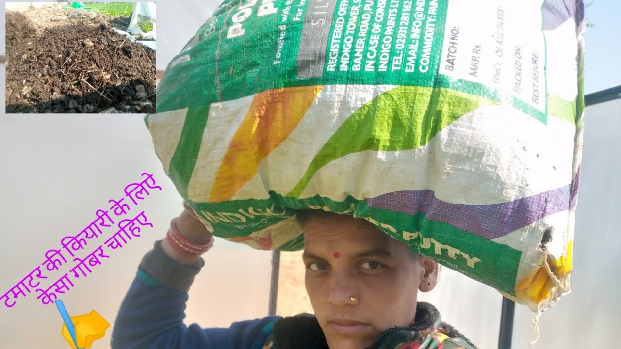 अचानक मेरी कुदाल गायब हो गई😲👍#पहाड़ी#सब्सक्राइब #beenatiwari #देव भूमि#कुमाऊनी#डेली ब्लॉग#पहाड़ी खेत