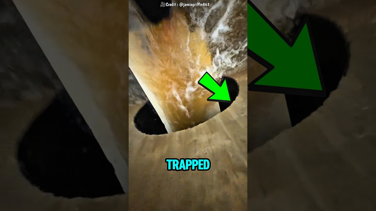 He Went Into the Pipe to Rescue a Cat&hellip; #shorts #cute #trends #catcartoon #tiktok
