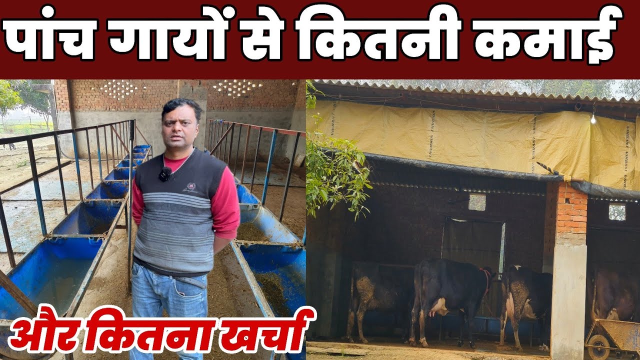 लाखों की नौकरी छोड़ कर रहे डेरी फार्म अरुण पांडेय प्रयागराज #bistara