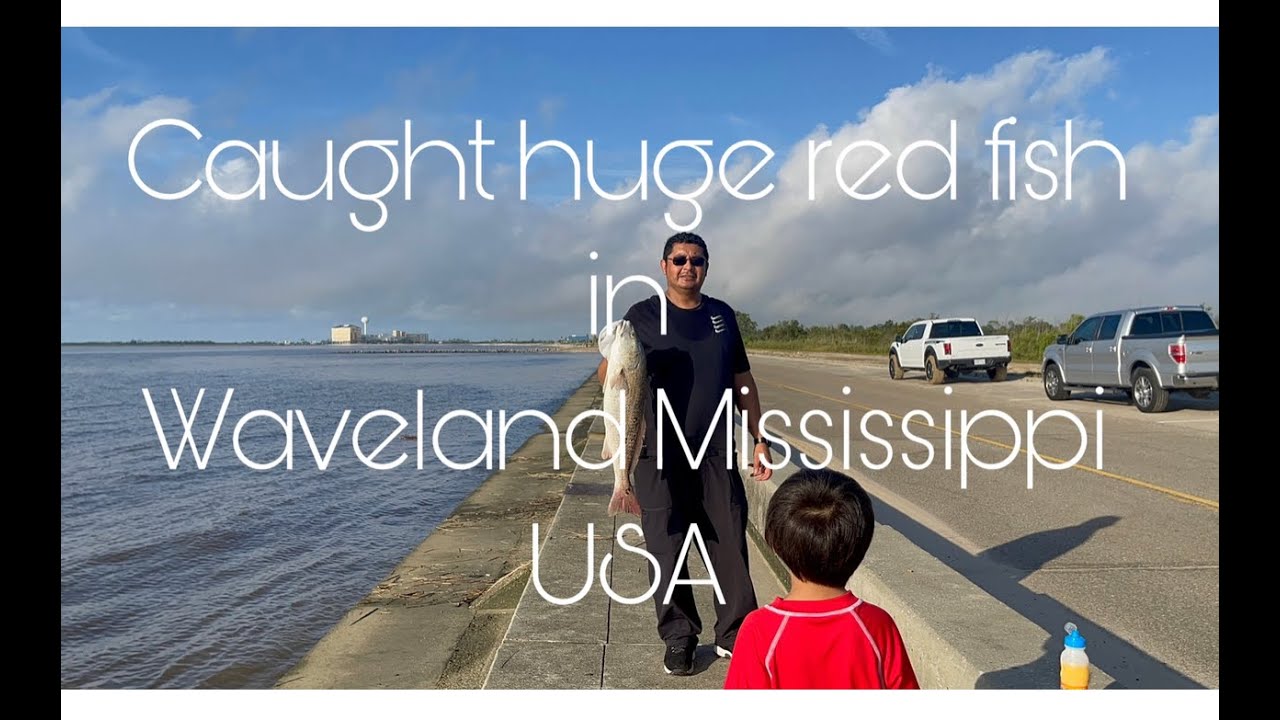 #fishing/#wavelandmississippiUSAfishing/Caught BIG redfish in Waveland Mississippi USA/THE RASCONS