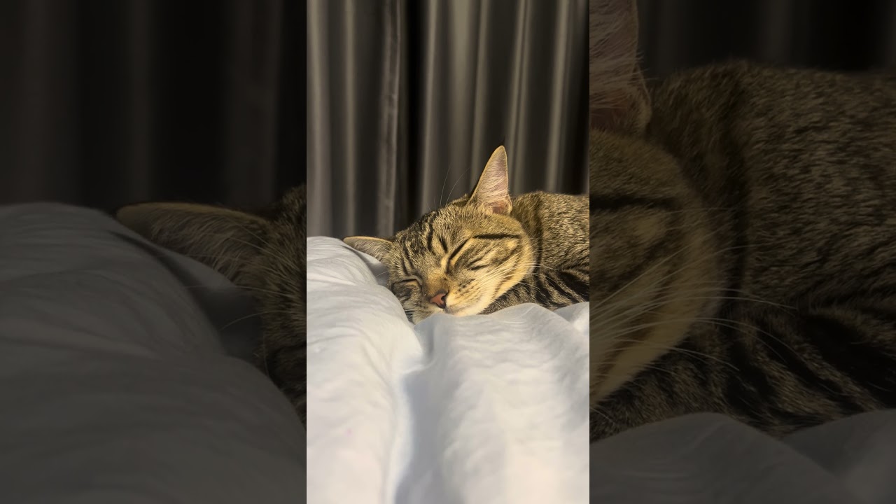 Sleep, sleep, my dear baby 😘 