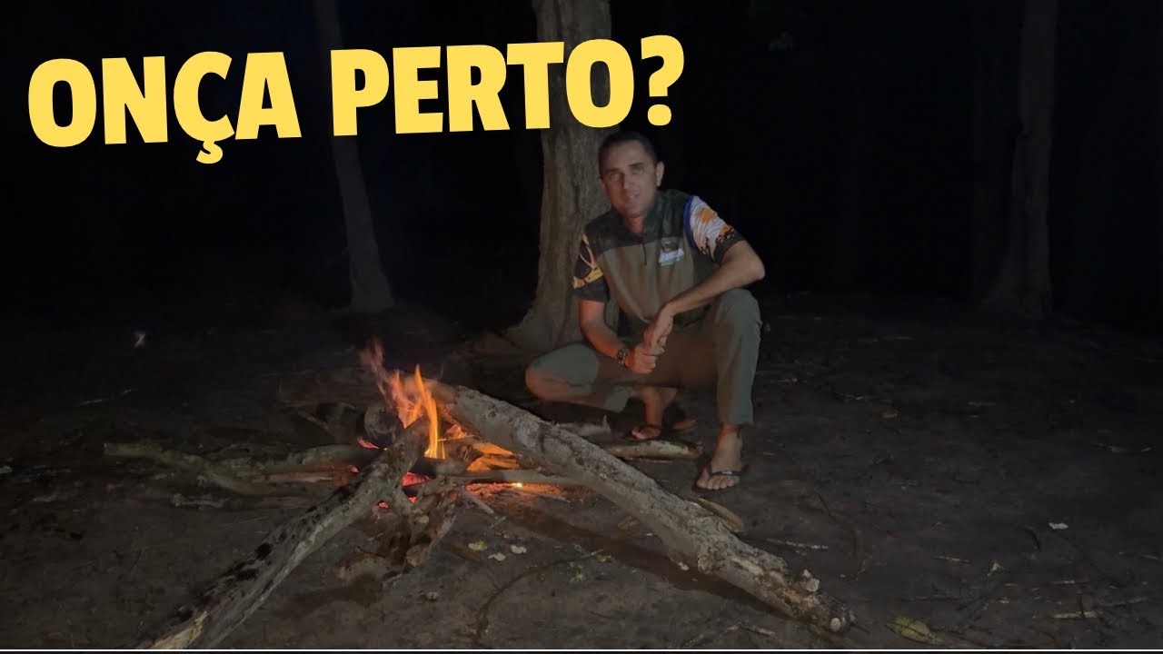Acordei com o esturro da onça 🐆 de madrugada!!!