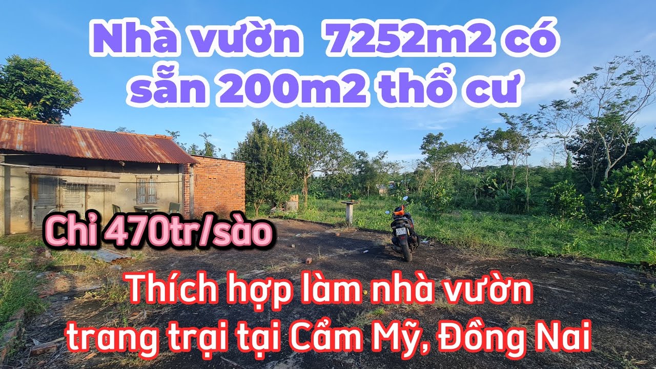 Bán Nhà vườn 7252m2 có 200m2 thổ cư. Thích hợp làm nhà vườn, farm, trang trại tại Cẩm Mỹ, Đồng Nai