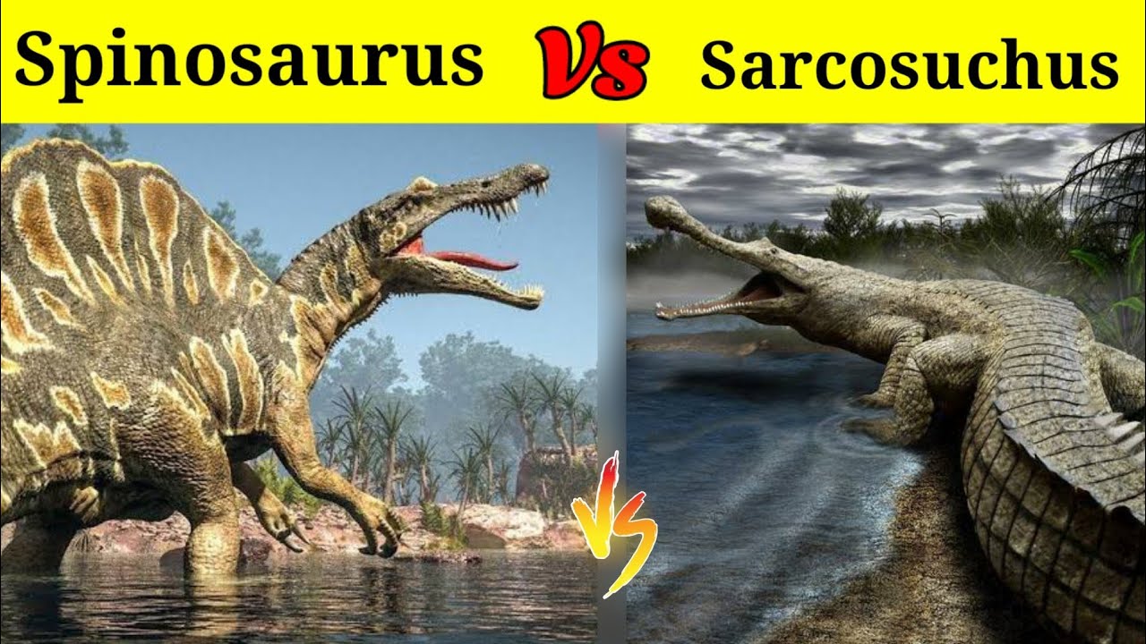 Spinosaurus Vs Sarcosuchus | क्या नदी का monster SuperCroc मार पायेगा इस खूंखार Dinosaur को?