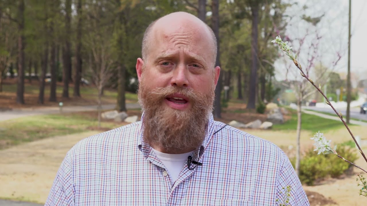 The Many Benefits of Trees