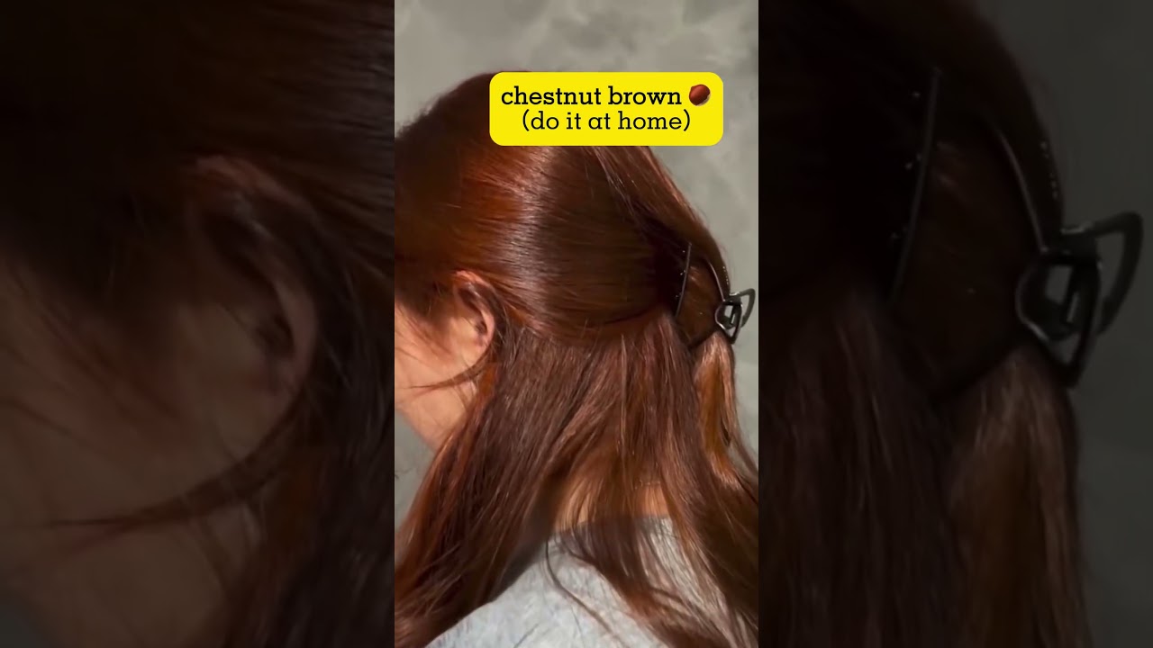 Chestnut Brown Hair Color Shampoo Dye | No Bleach | Winered Shades | Fall Hairstyle Ideas