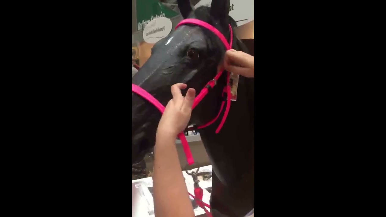 Nurtural Bitless Bridle: ONE way to FIX your fit!