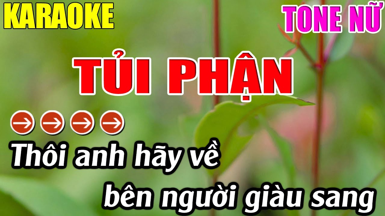 Tủi Phận Karaoke Tone Nữ Karaoke Lâm Nhạc Sống  -  Beat Chuẩn
