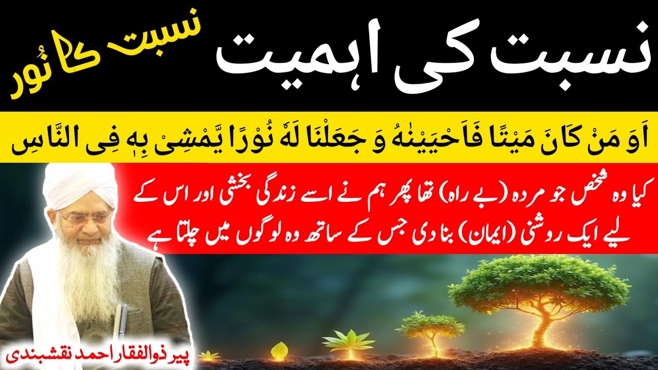 Nisbat Ki Ahmiyat ● نسبت کی اہمیت ● Nisbat Ka Noor ● نسبت کا نور ● Peer Zulfiqar Ahmad Naqshbandi