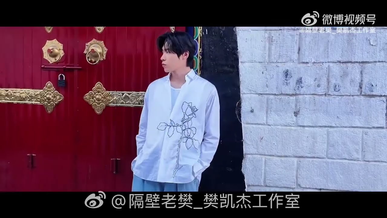 隔壁老樊 西藏工作vlog