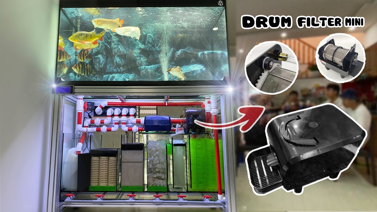 Độ DRUM MINI lọc siêu khỏe cho HỒ CHÂN NHÔM của ông anh Bình Dương | Drum Filter Mini in Aquarium