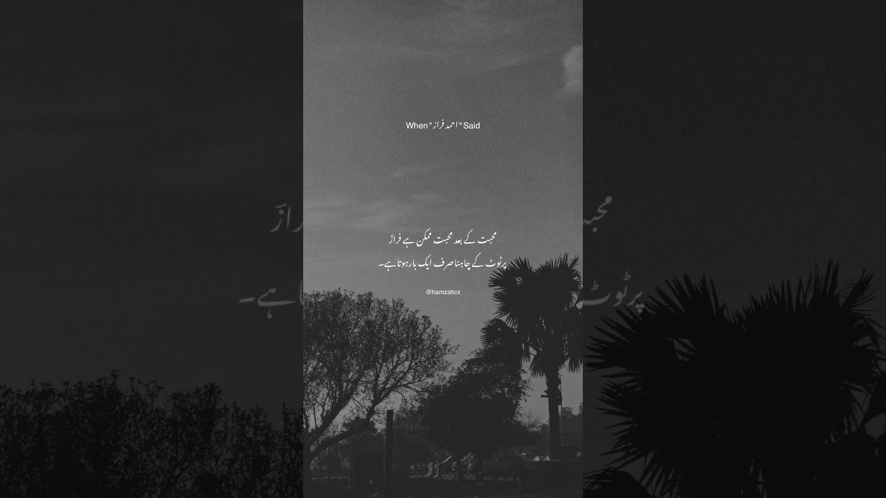 Aesthetic Urdu Poetry with background music 🥀#aesthetic #poetry #reels #shortvideo #viral #bgmmusic