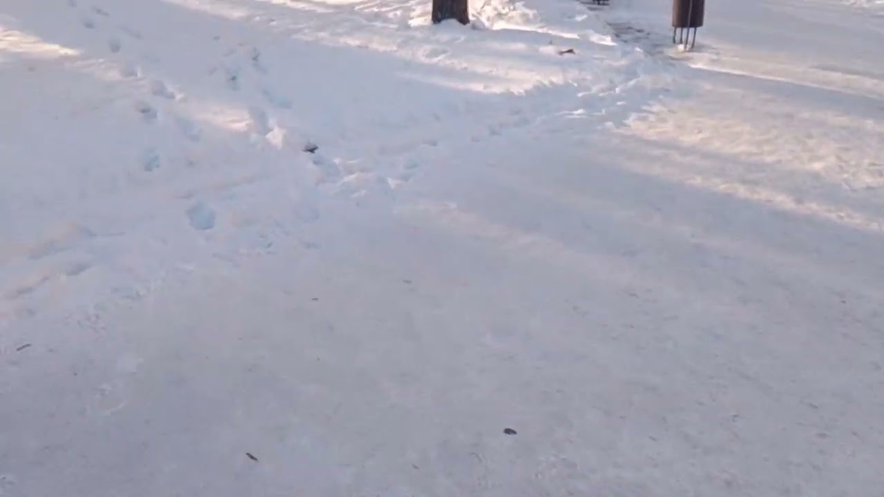 10 февраля 2026 г.