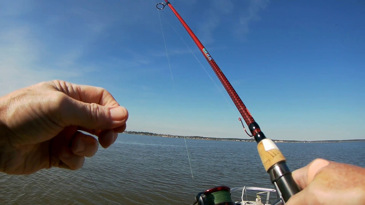 Fishing for catfish at Lake Conroe TX 2019