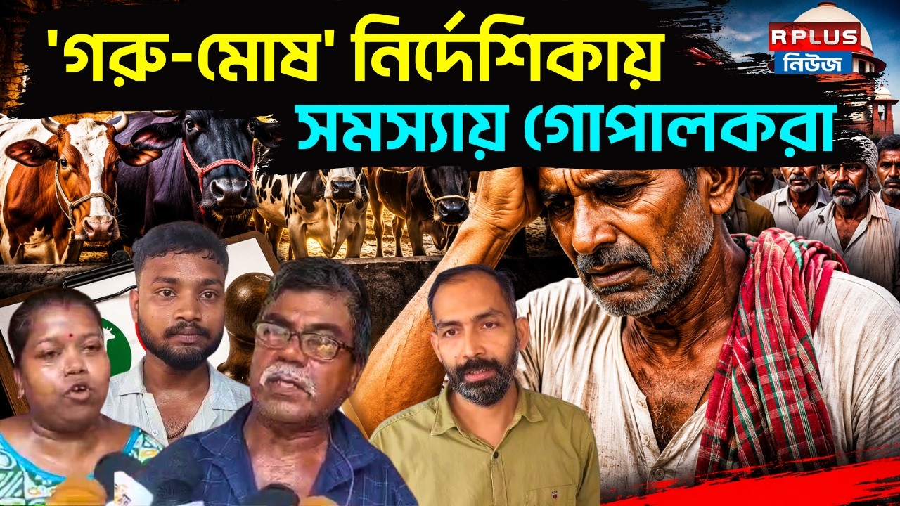 West Bengal News: 'গরু-মোষ' নির্দেশিকায় সমস্যায় গোপালকরা Cow Slaughter Rules | Illegal Cow Slaughter