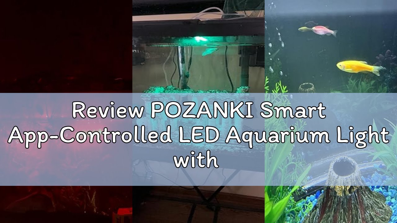 Review POZANKI Smart App-Controlled LED Aquarium Light with 16 Million Colors, 12 Dynamic Effects, F