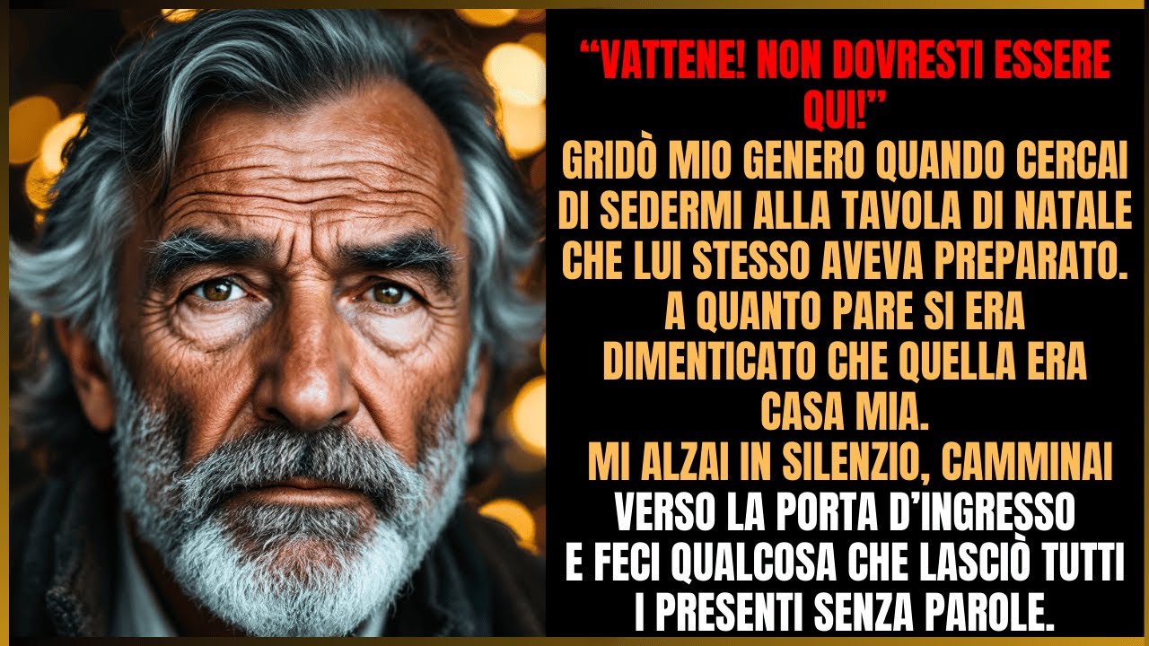 «Fuori da casa mia!», urlò mia cognata a Natale. La mia reação depois mudou tudo.