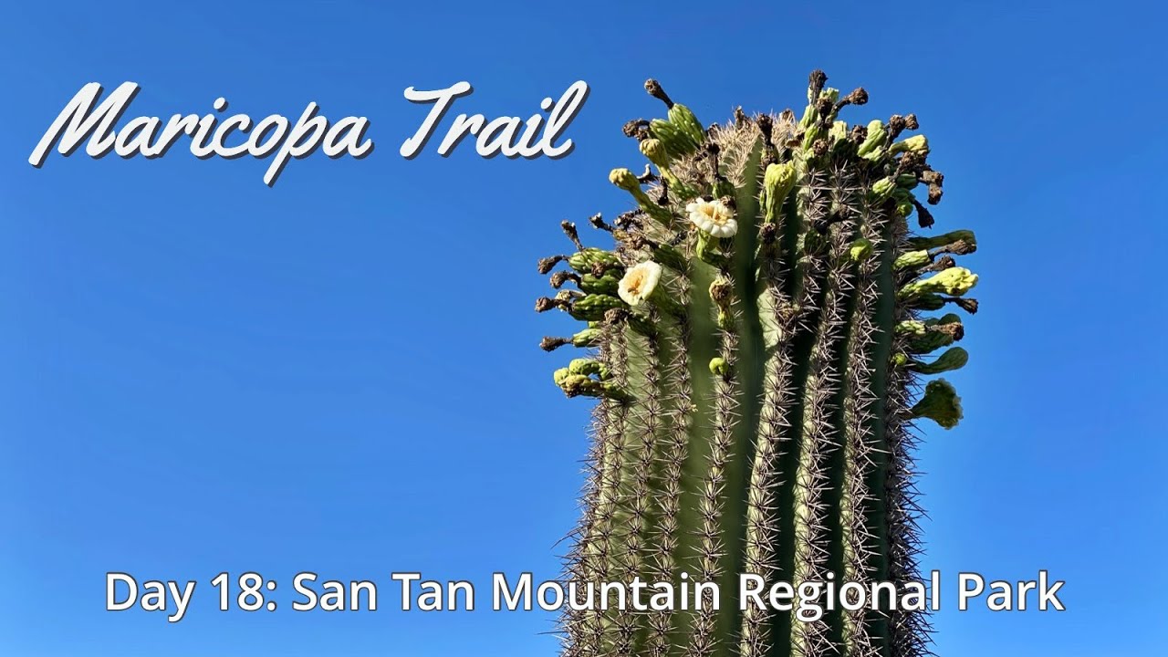 Hiking the Maricopa Trail Day 18: San Tan Mountain Regional Park